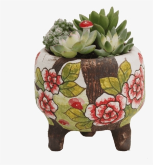 Succulents In Handmade Pots Nps41 - Fruit Cup