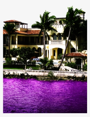 Purple Codeine Transparent Lean Double Cup Syrup Sizzurp - Mansion In Miami