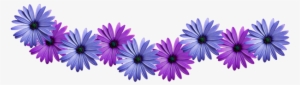Violet Flower Vines Png