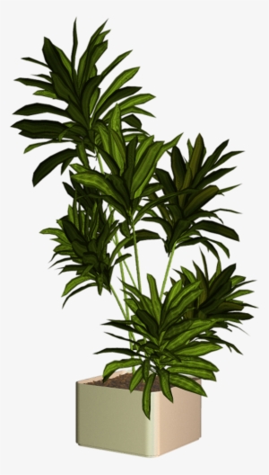0 9ddc0 C1252162 Xxl Cut Out People, Greenery, Entourage, - Plantas Png Para Render