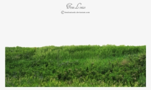 Grass Photoshop, Photoshop Help, Photoshop Photography, - Grass Png