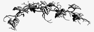 Flower Vine Clipart - Clipart Black And White Vine