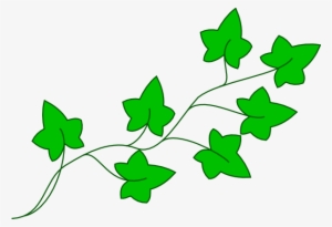 Ivy Vine Clip Art At Clker - Ivy Clipart
