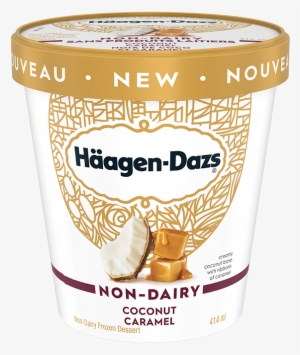 Alt Text Placeholder - Haagen Daz Coconut Caramel