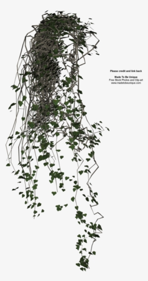 Collection Of 14 Free Arched Clipart Transparent Background - Cut Out Hanging Plants