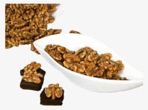 Walnut Kernels Decor - Praline