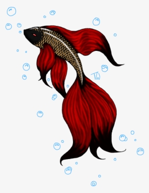 Betta Fish Design - Koi