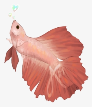 $10 Fish Commissions - Fish