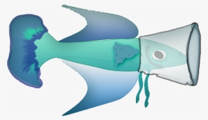 Possible Solution To Betta Tail Biting - Betta Has Tail Bites