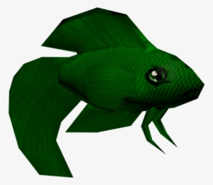 Try And Survive As The Only Male Betta Fish In Your - Goldfish