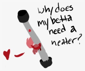 Why Do Bettas Need A Heater - Fish Heater For Betta Fish