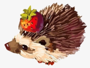 Hedgehog Paper Drawing Watercolor Painting Illustration - Hedgehog In A Teacup Tattoos