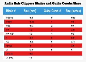 Maintenance Is Key - Hairstyle