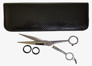 Captain C-752 Shear - Shear Stress