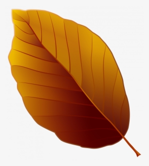 Brown Leaf Clip Art Png