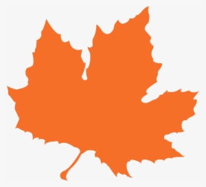 Autumn-leaf - Aaron G. Margulies, Md, Facs