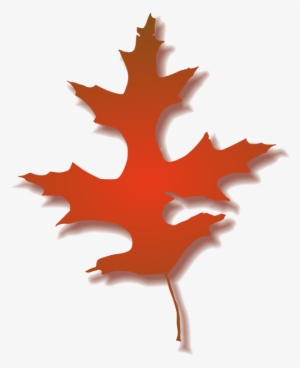 Oak Leaf Photo - Fall Oak Leaf Clipart