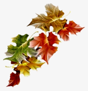 Herfst - Feuille D Automne Clipart