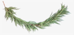 Faux Cedar Garland 1 - Portable Network Graphics