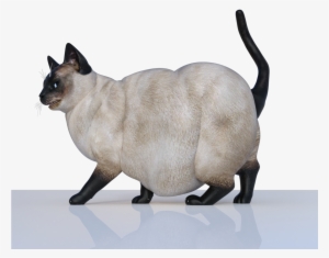 Fat Cat From April Suggestion Renders - Cat