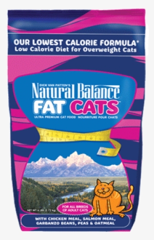 Fat Cats