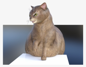 Fat Cat Is Squish
