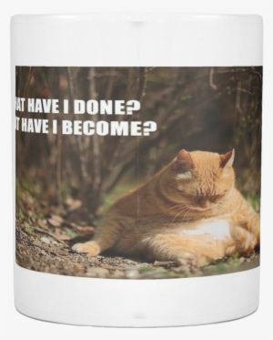 Fat Cat Regrets Meme 11 Ounce Coffee Mug - Meditation