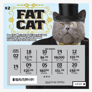 *experience The Fun And Excitement Of Playing A Scratch - Black Cat