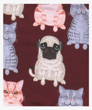 Filemon Kid Sweatshirt Fat Cats & Pug Aop - Sweatshirt
