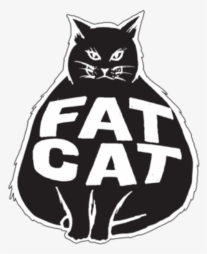 The Fat Cat I One Of Our Most Popular Performance Shortboards - Cartoon