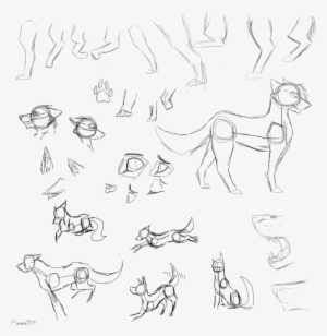 Canine Anatomy Concept Sketches By Avenryn On Deviantart - Dog Laying Down Drawing