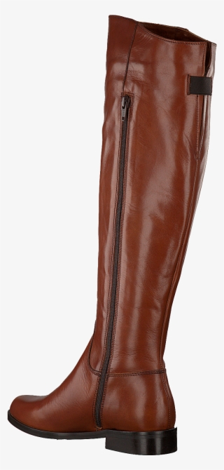 Next - Riding Boot