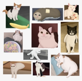 I Drew Some Cursed Cats - Cursed Cats