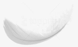 Free Png Simple White Feaher Png Png Images Transparent - Darkness