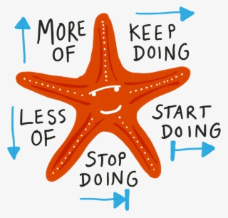 Starfish Model - Starfish