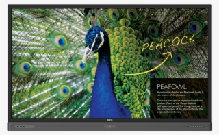 75" Education Interactive Flat Panel Display Rp750k - Benq Education Interactive Flat Panel Display
