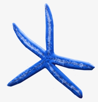 Learn More About Our Maintenance Services - Starfish