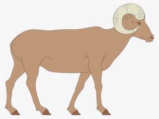 Bighorn Sheep Clipart Big Horn Sheep - Draw A Big Horn Sheep