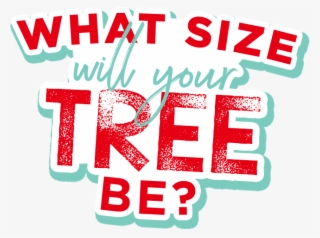 What Size Will Your Tree Be - Illustration