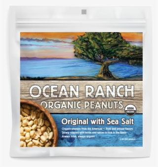 Sea-salt - Poster