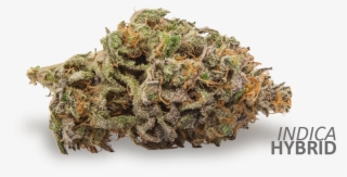 Black Afghan Is A Complex Strain With Euphoric And - Honeybee