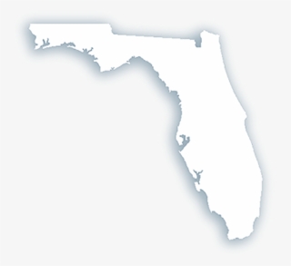 To The Office Of Citrus County Supervisor Of Elections - Darkness