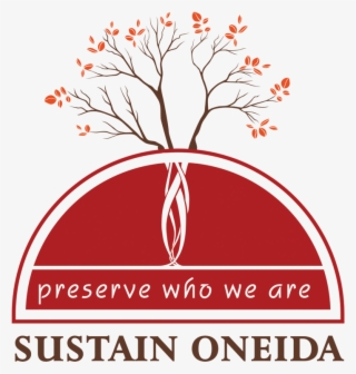 The Issue/crisis What Sustain Oneida Has Done So Far - Illustration