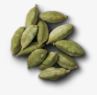 Cardamom - Pointed Gourd