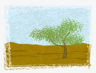 Suddenly We Have Small Trees Around The Camp One Of - Grass