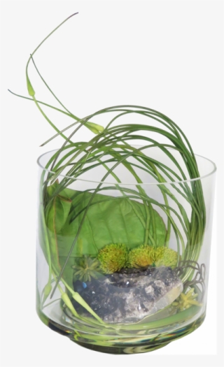 Black Crystal, Large Leaf, Green/golden Protea, Allium - Vase