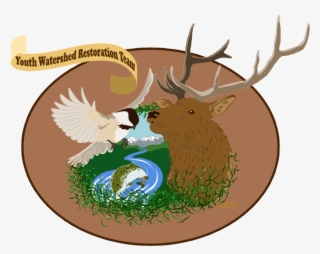 Shhs Watershed Restoration Team - Cartoon