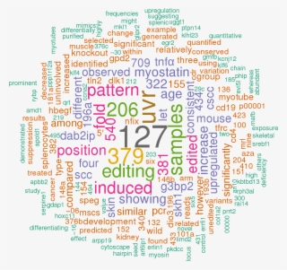 Stem Loop Sequence Mmu Mir - Hsa Let 7a 3p 5p 3 Utr