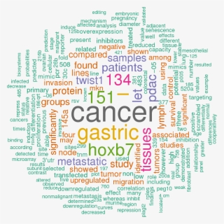 Stem Loop Sequence Hsa Mir - Big Data
