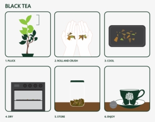 How To Make Your Own Tea - Cartoon